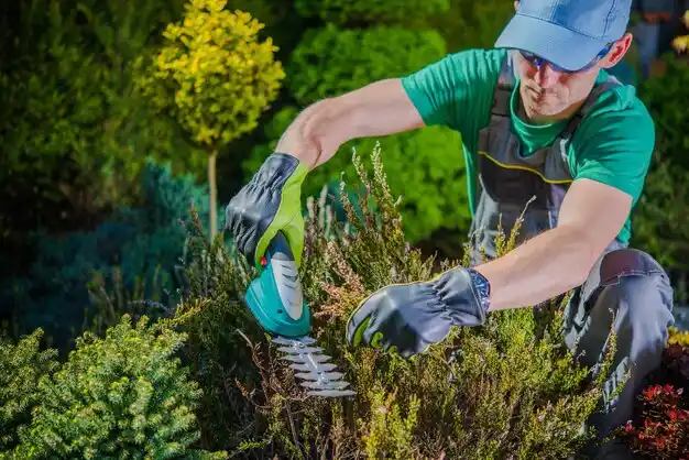 landscaping services Pleasant Grove